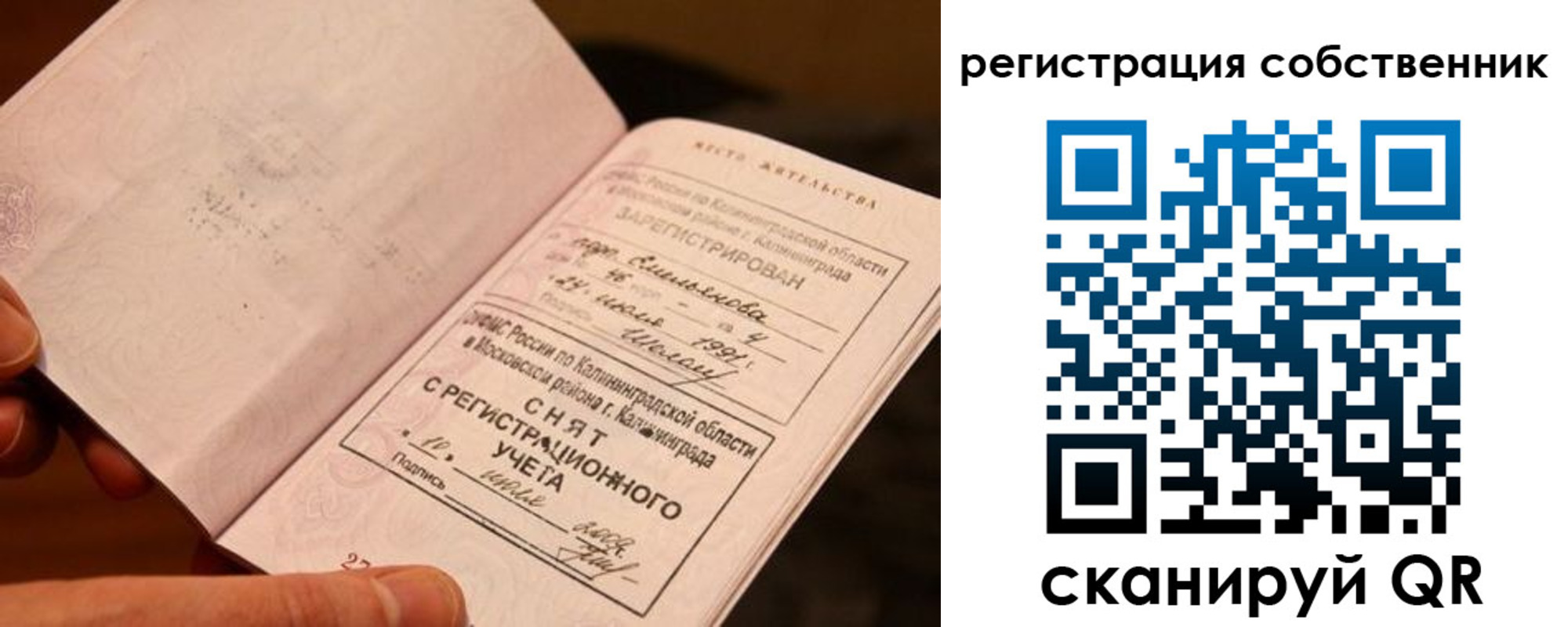 пропишу в квартире в Брянске